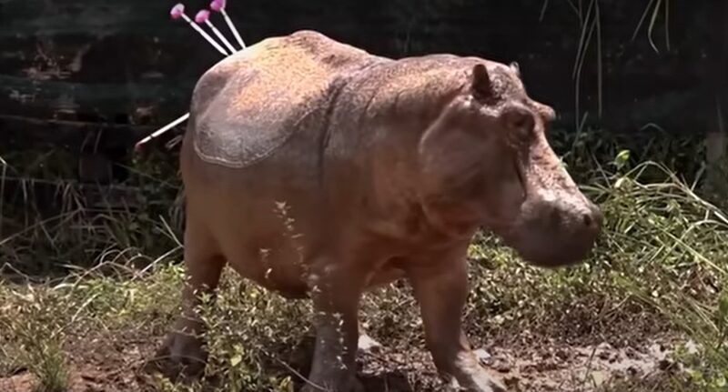 Fuente: Captura TV Fuente: Captura TV