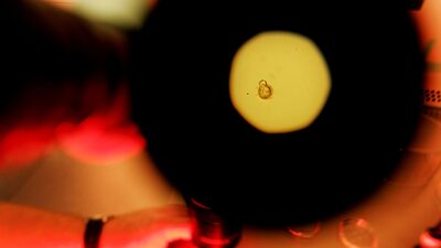 Bebês sob medida? Startup do Vale do Silício busca fundos para edição de gene humano Bebês sob medida? Startup do Vale do Silício busca fundos para edição de gene humano