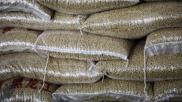 Weather Woes May Delay Brazil’s Soybean Harvest to Early January Weather Woes May Delay Brazil’s Soybean Harvest to Early January