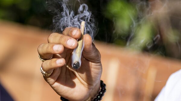 Los jóvenes consumidores de marihuana beben menos alcohol, según un estudio Los jóvenes consumidores de marihuana beben menos alcohol, según un estudio