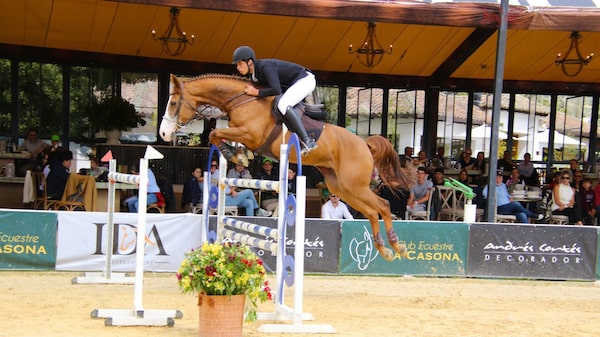 Las millonarias cifras detrás del crecimiento del deporte ecuestre en Colombia Las millonarias cifras detrás del crecimiento del deporte ecuestre en Colombia