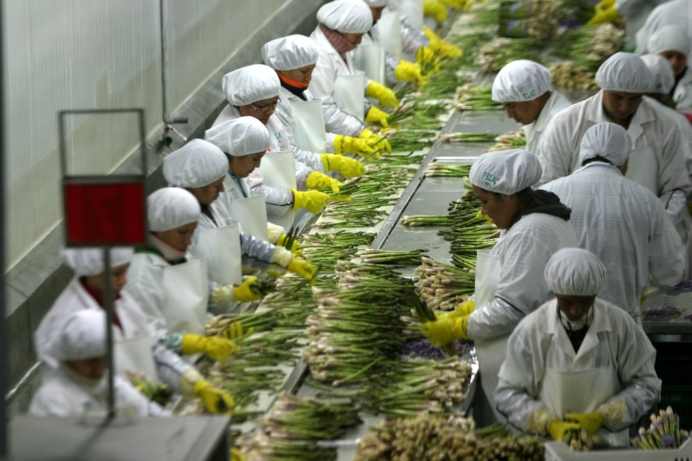 DanPer Trujillo es una de las empresas peruanas más importantes. DanPer Trujillo es una de las empresas peruanas más importantes.