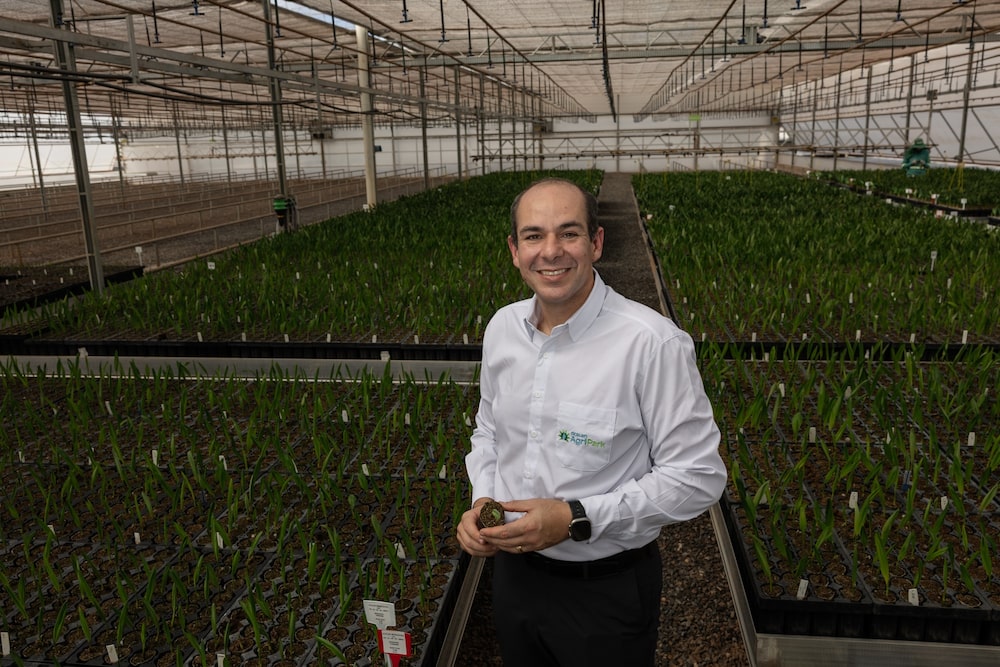 Victor Barra, diretor de Agronegócios da Acelen Renováveis (Foto: Maira Erlich/Bloomberg) Victor Barra, diretor de Agronegócios da Acelen Renováveis (Foto: Maira Erlich/Bloomberg)