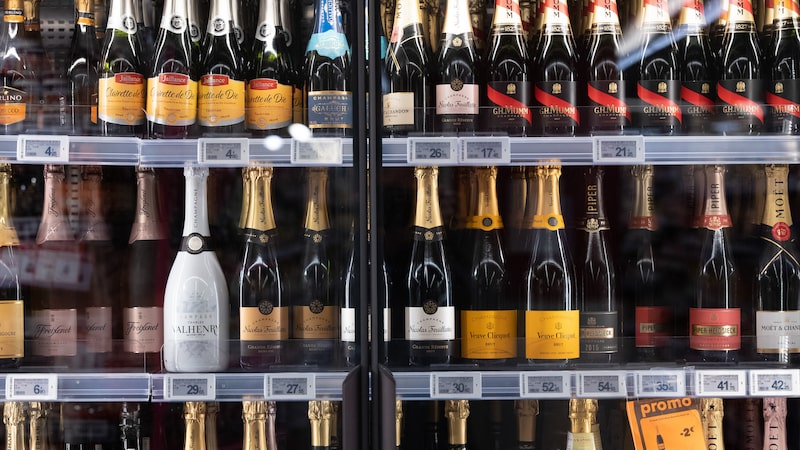 Produção de champagne na França deve cair pela metade com ondas de calor e seca Produção de champagne na França deve cair pela metade com ondas de calor e seca