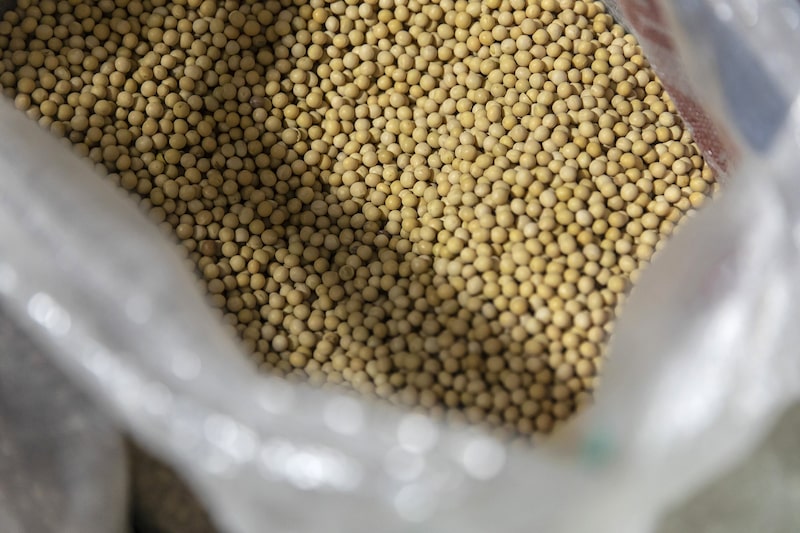 Estados Unidos publicó un dato que golpea a Argentina, Brasil, Paraguay y Uruguay Estados Unidos publicó un dato que golpea a Argentina, Brasil, Paraguay y Uruguay