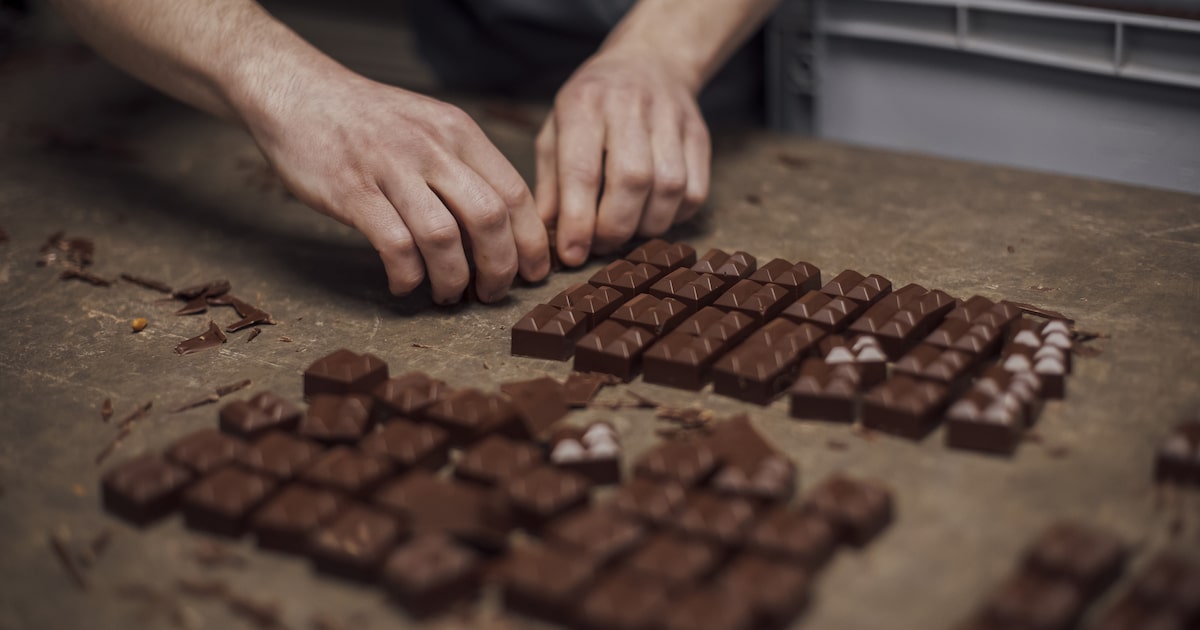 Precios del cacao caen 32% en 2026 según Bloomberg Línea