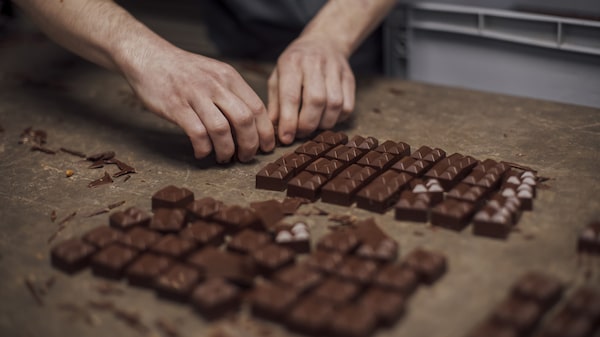 Del boom al ajuste: desplome del precio del cacao presiona a productores de América Latina Del boom al ajuste: desplome del precio del cacao presiona a productores de América Latina