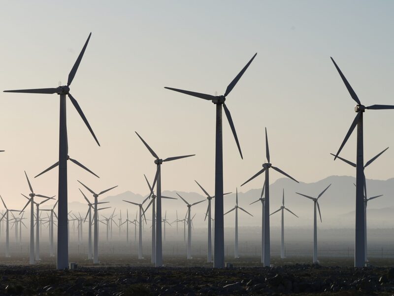 Acessibilidade passou na frente de crise climática na lista de principais temas para alguns governos Acessibilidade passou na frente de crise climática na lista de principais temas para alguns governos