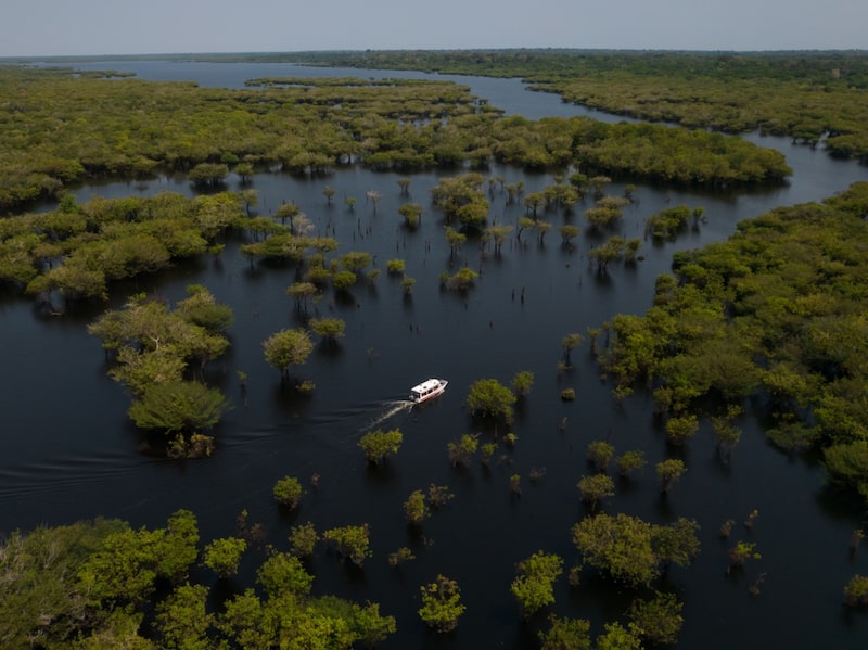En el corazón de la Amazonia, se extrae bauxita de color óxido de una mina que lleva mucho tiempo enfrentándose a acusaciones de contaminación y apropiación de tierras, que luego se traslada a una refinería costera brasileña acusada de enfermar a miles de personas y que, en última instancia, se utiliza para fabricar el aluminio del F-150 Lightning de Ford.. En el corazón de la Amazonia, se extrae bauxita de color óxido de una mina que lleva mucho tiempo enfrentándose a acusaciones de contaminación y apropiación de tierras, que luego se traslada a una refinería costera brasileña acusada de enfermar a miles de personas y que, en última instancia, se utiliza para fabricar el aluminio del F-150 Lightning de Ford..