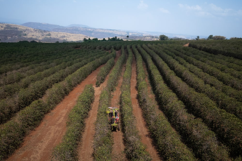 Global Food Prices Risk Spiking On Worst-Ever Drought In Brazil Global Food Prices Risk Spiking On Worst-Ever Drought In Brazil