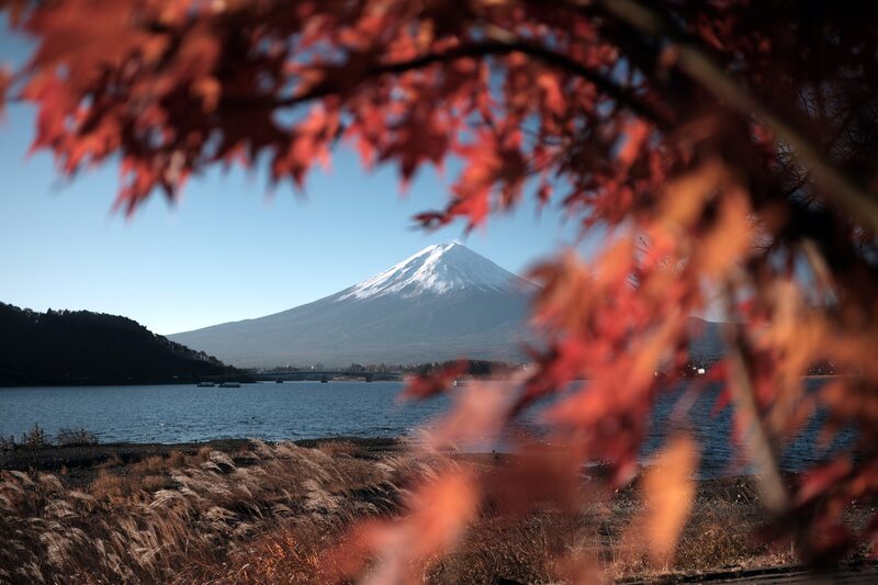 Monte Fuji Monte Fuji