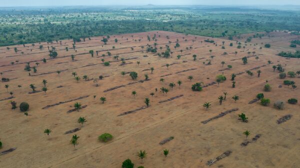 COP15: Cinco coisas para ficar de olho na maior cúpula da biodiversidade COP15: Cinco coisas para ficar de olho na maior cúpula da biodiversidade