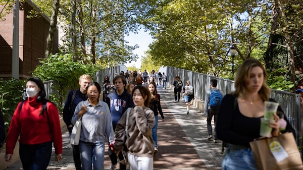 Informe revela aumento de estudiantes guatemaltecos en universidades de EE.UU. Informe revela aumento de estudiantes guatemaltecos en universidades de EE.UU.