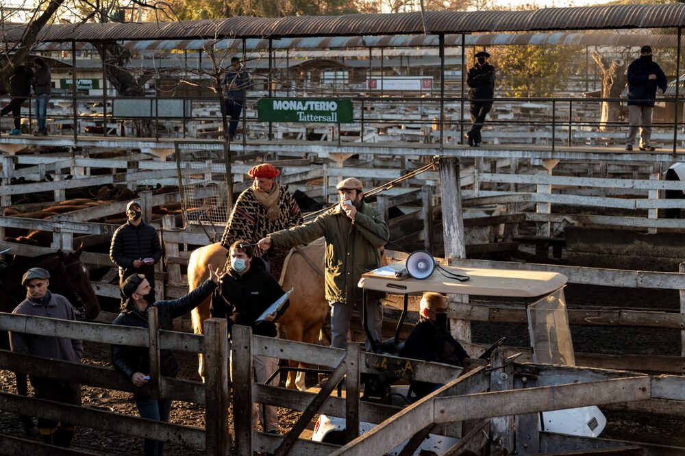 Mercado de Carne en Buenos Aires Mercado de Carne en Buenos Aires
