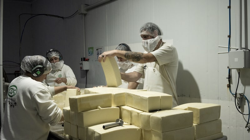 Acuerdo UE-Mercosur: productores sudamericanos temen perder terreno ante competencia europea Acuerdo UE-Mercosur: productores sudamericanos temen perder terreno ante competencia europea
