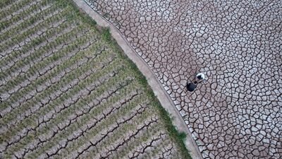 Retorno do El Niño deve trazer devastação sem precedentes para economia mundial Retorno do El Niño deve trazer devastação sem precedentes para economia mundial