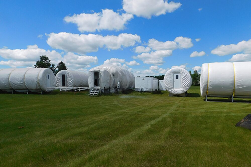 Fuente: Kernel Mycofoods Fuente: Kernel Mycofoods