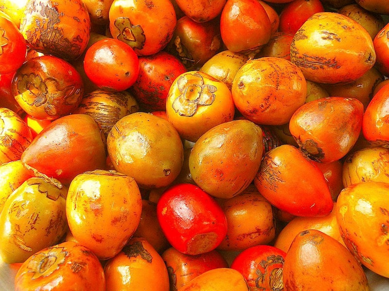 Frutas exóticas colombianas, con alto potencial para hacer protectores solares. Frutas exóticas colombianas, con alto potencial para hacer protectores solares.