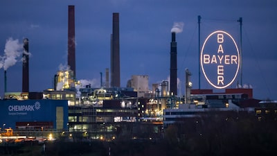 Bayer supera previsiones de ganancias por fortaleza de su negocio agrícola Bayer supera previsiones de ganancias por fortaleza de su negocio agrícola