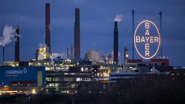 Bayer supera previsiones de ganancias por fortaleza de su negocio agrícola Bayer supera previsiones de ganancias por fortaleza de su negocio agrícola