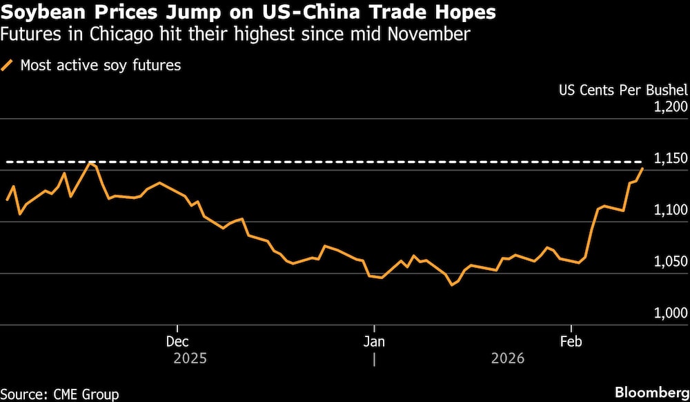 Soybean Prices Jump on US-China Trade Hopes | Futures in Chicago hit their highest since mid November Soybean Prices Jump on US-China Trade Hopes | Futures in Chicago hit their highest since mid November