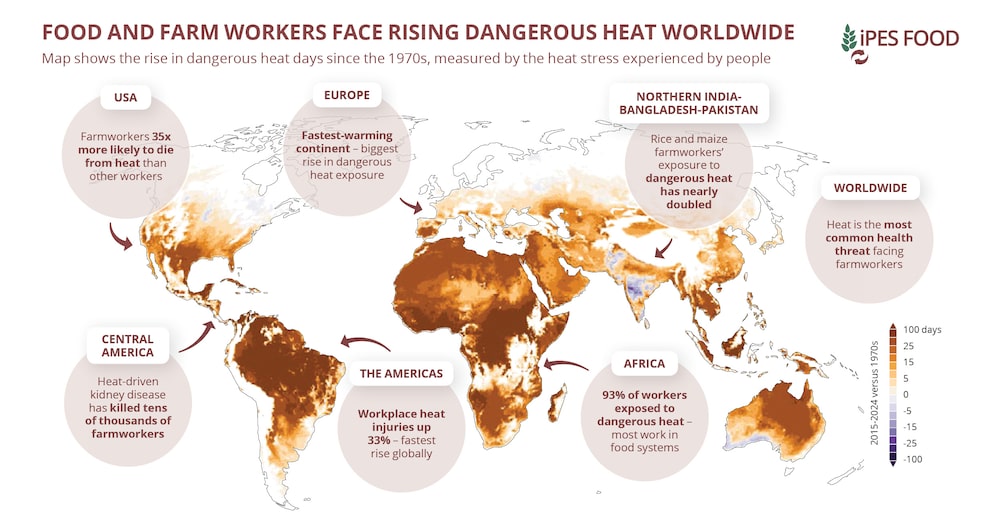 Los trabajadores del sector agroalimentario se enfrentan a un aumento del calor peligroso en todo el mundo. Los trabajadores del sector agroalimentario se enfrentan a un aumento del calor peligroso en todo el mundo.