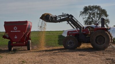 Como o biodiesel dos EUA coloca em risco a liderança da Argentina em farelo de soja Como o biodiesel dos EUA coloca em risco a liderança da Argentina em farelo de soja