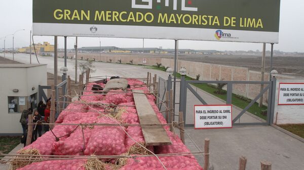 Mercado mayorista de Lima en paro indefinido desde hoy: Esto piden los comerciantes Mercado mayorista de Lima en paro indefinido desde hoy: Esto piden los comerciantes