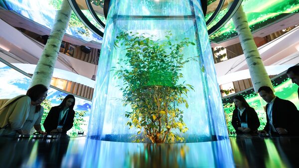 Negociadores de la COP29 acuerdan un mecanismo mundial para el mercado del carbono Negociadores de la COP29 acuerdan un mecanismo mundial para el mercado del carbono