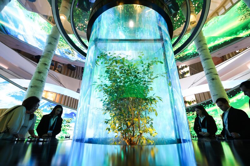 Asistentes a la conferencia climática COP29 en Bakú, Azerbaiyán, el 11 de noviembre. Asistentes a la conferencia climática COP29 en Bakú, Azerbaiyán, el 11 de noviembre.