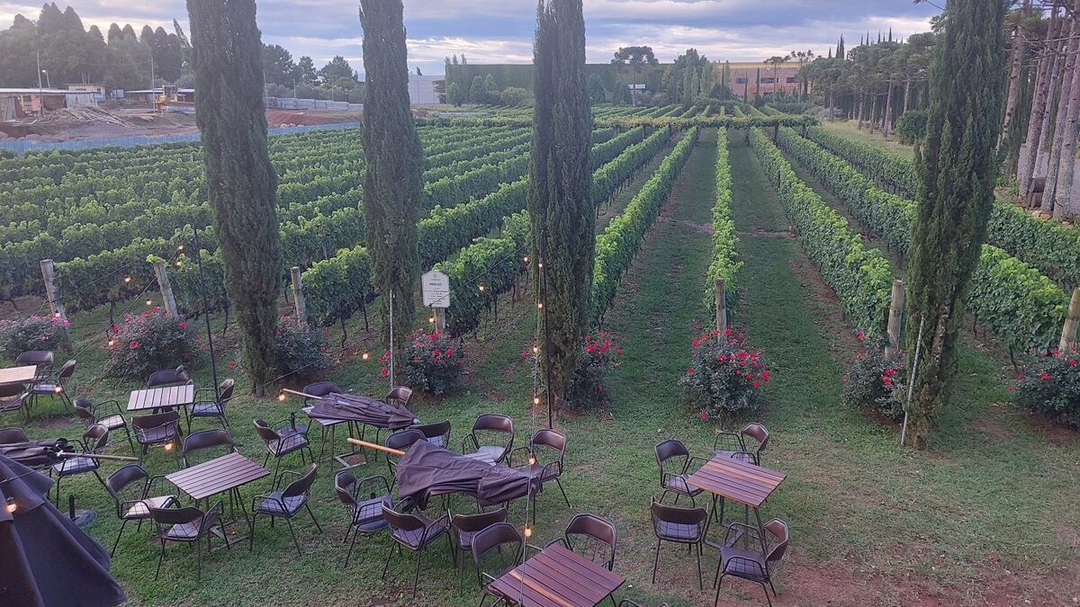 Área da Vinícola Campestre dedicada ao enoturismo (Foto: Bloomberg Línea)