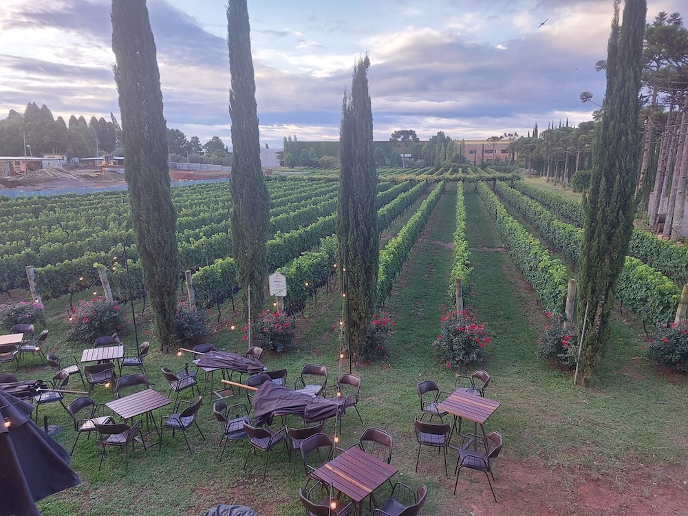 Do Pérgola ao luxo: vinho mais vendido do Brasil financia aposta premium da Campestre Do Pérgola ao luxo: vinho mais vendido do Brasil financia aposta premium da Campestre