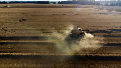 Luz verde de Syngenta a joint venture con Bioceres eleva perfil de la empresa, dice su CEO Luz verde de Syngenta a joint venture con Bioceres eleva perfil de la empresa, dice su CEO