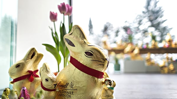 Na Lindt, coelho de chocolate pode ser produzido nos EUA. Mas plano exige US$ 10 mi Na Lindt, coelho de chocolate pode ser produzido nos EUA. Mas plano exige US$ 10 mi