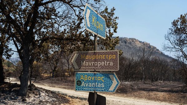 Los incendios forestales cuestan a Europa €4.100 millones; Grecia sufre los mayores daños Los incendios forestales cuestan a Europa €4.100 millones; Grecia sufre los mayores daños