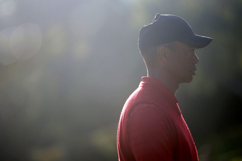Tiger Woods, ganador de torneos de Grand Slam Tiger Woods, ganador de torneos de Grand Slam