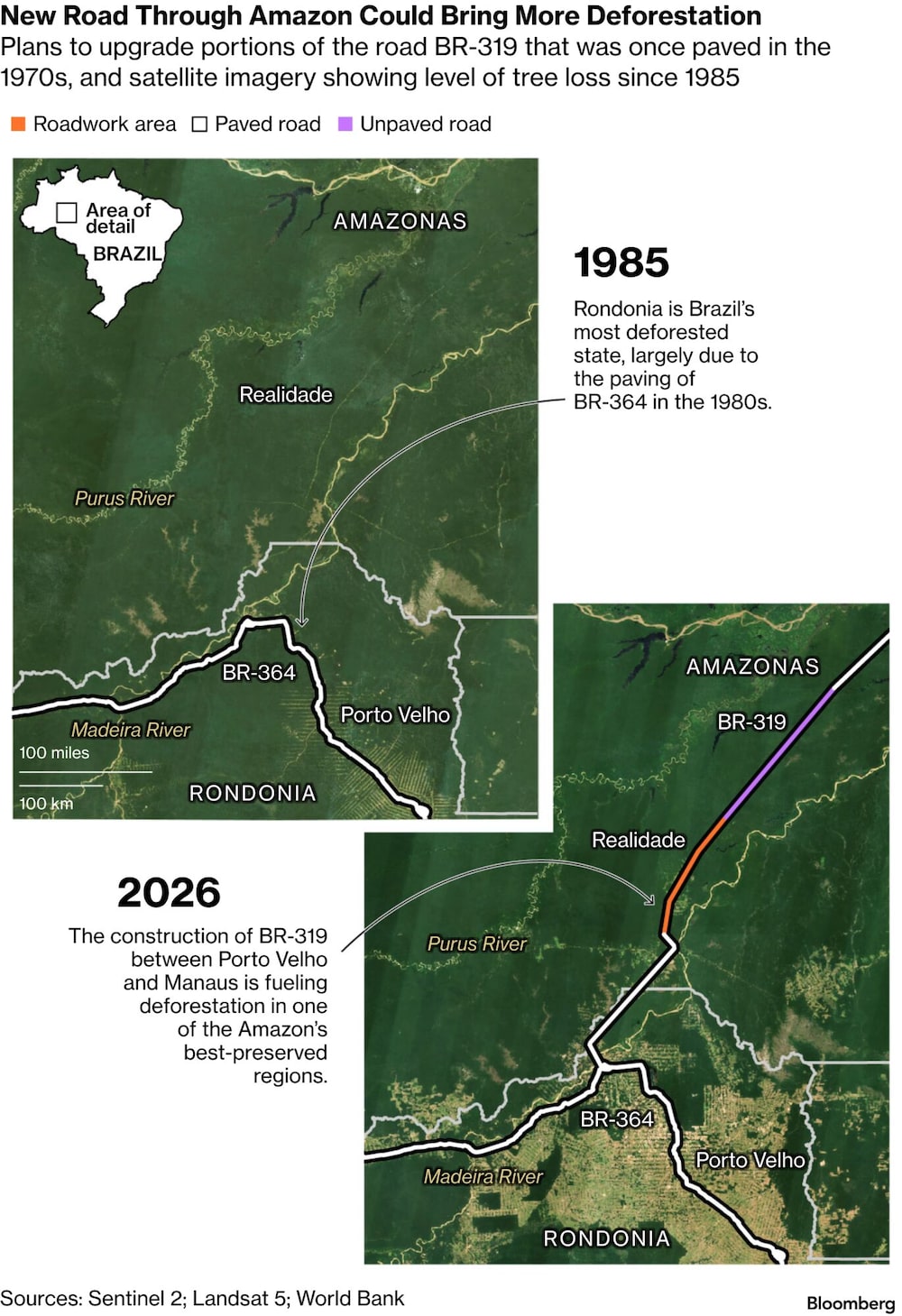Amazonas Amazonas
