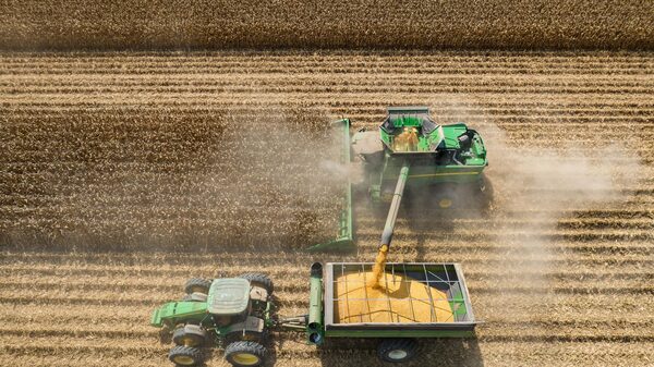 De Bunge a Mosaic: gigantes globais do agro sentem impacto das tarifas de Trump De Bunge a Mosaic: gigantes globais do agro sentem impacto das tarifas de Trump