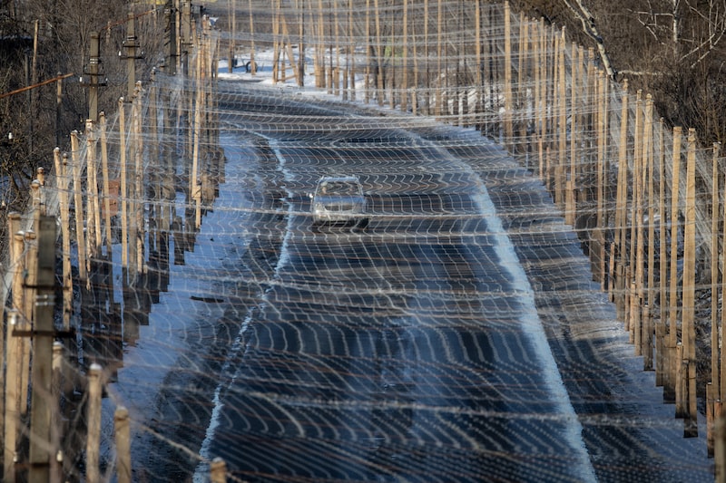 La invasión a Ucrania cumple cuatro años con las negociaciones de Trump estancadas La invasión a Ucrania cumple cuatro años con las negociaciones de Trump estancadas