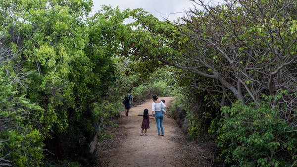 Ecuador concreta histórico canje de deuda de naturaleza por US$ 1.630 millones Ecuador concreta histórico canje de deuda de naturaleza por US$ 1.630 millones