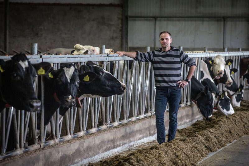 Criador de gados na Holanda, um dos alvos do governo a fim de reduzir as emissões nocivas ao ambiente (Peter Boer/Bloomberg) Criador de gados na Holanda, um dos alvos do governo a fim de reduzir as emissões nocivas ao ambiente (Peter Boer/Bloomberg)