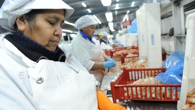 Desempleo en Chile llega al 8%: ¿Qué pasó con la brecha de género? Desempleo en Chile llega al 8%: ¿Qué pasó con la brecha de género?