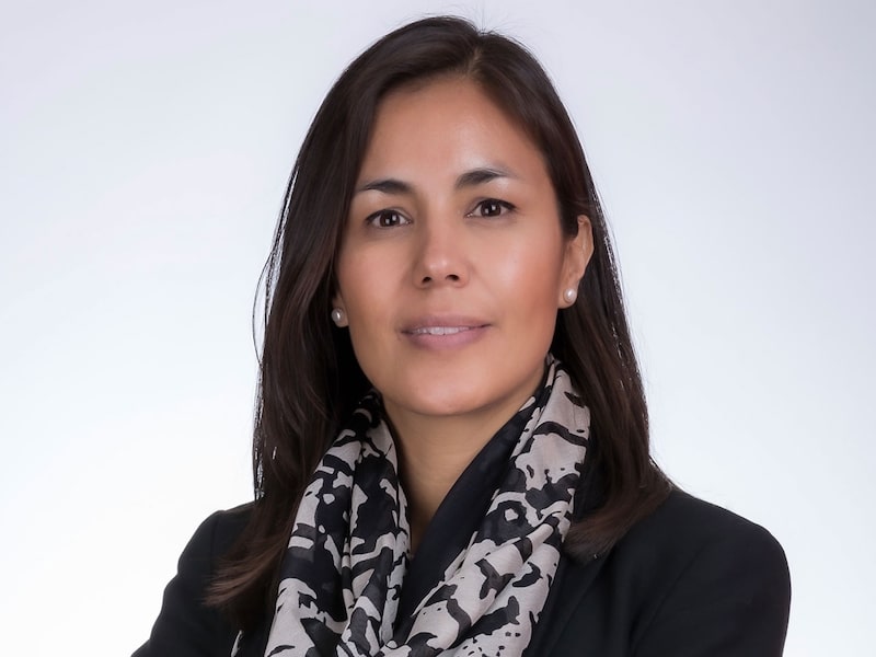 Marliz Mejía se desempeñó recientemente como directora de estructuración y gestión activa de carteras de crédito en Banco Santander México Marliz Mejía se desempeñó recientemente como directora de estructuración y gestión activa de carteras de crédito en Banco Santander México