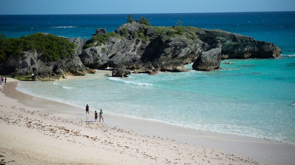 Los servicios de streaming están determinando dónde serán tus próximas vacaciones Los servicios de streaming están determinando dónde serán tus próximas vacaciones