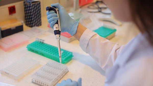 El ADN ayuda a determinar el éxito de los fármacos para perder peso, según un estudio El ADN ayuda a determinar el éxito de los fármacos para perder peso, según un estudio