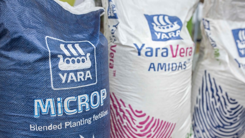 Gigante de fertilizantes aposta em hidrogênio verde para reduzir emissão de CO2 Gigante de fertilizantes aposta em hidrogênio verde para reduzir emissão de CO2