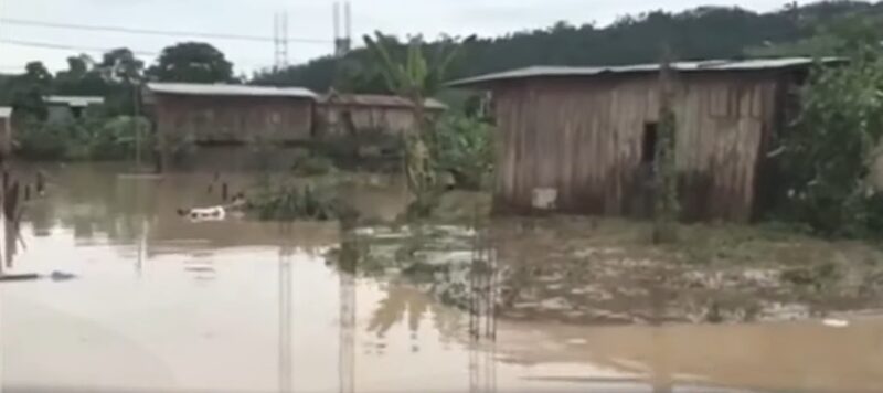 Fuente: Captura de televisión de TC. Fuente: Captura de televisión de TC.