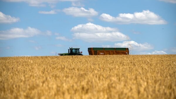 Campo argentino convoca a un paro nacional por la falta de gasoil Campo argentino convoca a un paro nacional por la falta de gasoil