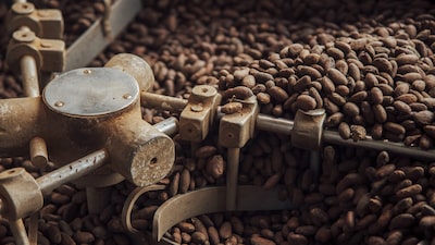 Após choque nos preços do cacau, Barry Callebaut nomeia ex-Unilever como CEO Após choque nos preços do cacau, Barry Callebaut nomeia ex-Unilever como CEO