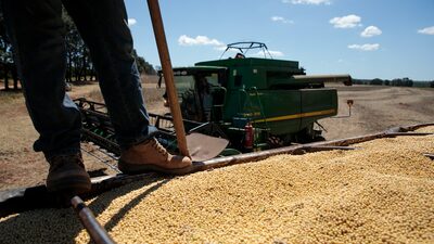 China usa soja como ‘moeda de troca’ em disputa com os EUA e amplia aposta no Brasil China usa soja como ‘moeda de troca’ em disputa com os EUA e amplia aposta no Brasil